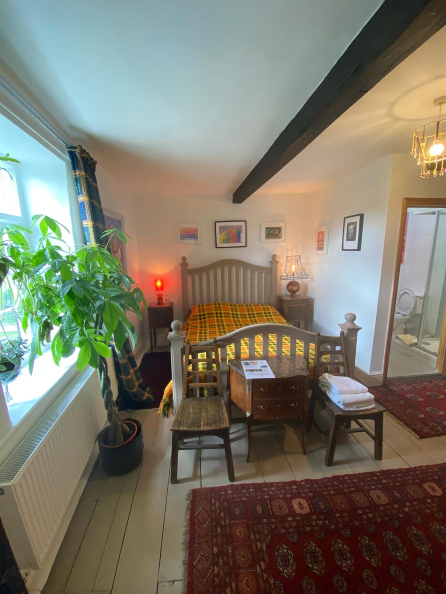 Raglan Art House B & B الغرفة الصورة