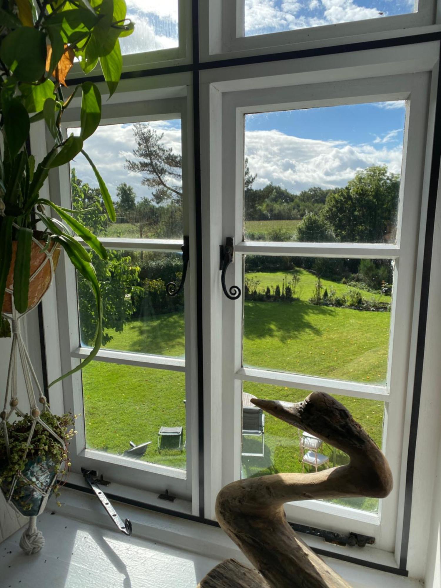 Raglan Art House B & B الغرفة الصورة